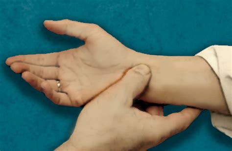 using the median nerve compression test|tinel's test and phalen's.